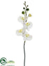 Silk Plants Direct Phalaenopsis Orchid Stem - Cream White - Pack of 12