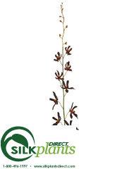 Vanda Orchid Spray - Wine - Pack of 12