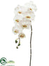 Silk Plants Direct Phalaenopsis Orchid Spray - Cream Green - Pack of 4