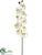Phalaenopsis Orchid Spray - Cream Green - Pack of 4