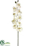 Silk Plants Direct Phalaenopsis Orchid Spray - Cream Green - Pack of 4