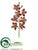 Cymbidium Orchid Spray - Burgundy Green - Pack of 6