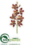 Silk Plants Direct Cymbidium Orchid Spray - Burgundy Green - Pack of 6