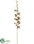 Grammatophyllum Orchid Spray - Brown Green - Pack of 6