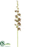 Silk Plants Direct Grammatophyllum Orchid Spray - Brown Green - Pack of 6
