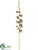 Grammatophyllum Orchid Spray - Brown Green - Pack of 6