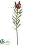Silk Plants Direct Protea Spray - Burgundy - Pack of 12