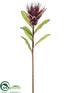 Silk Plants Direct Protea Spray - Burgundy Mauve - Pack of 12