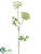 Queen Anne's Lace Spray - Cream - Pack of 6