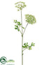 Silk Plants Direct Queen Anne's Lace Spray - Cream - Pack of 6
