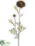 Silk Plants Direct Ranunculus Spray - Avocado Brown - Pack of 12
