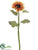 Sunflower Spray - Orange Two Tone - Pack of 6