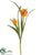Mini Imperial Crown Tulip Spray - Talisman - Pack of 12