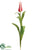 Lily Tulip Bud Spray - White Red - Pack of 12