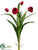 Tulip Bundle - Red - Pack of 6