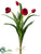 Tulip Bundle - Red - Pack of 6