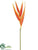 Heliconia Spray - Orange - Pack of 12