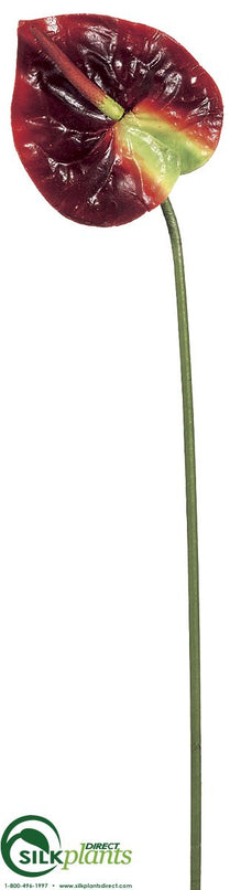 anthurium cream Silk Plants Direct Large Anthurium Spray - Burgundy