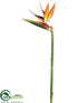 Silk Plants Direct Large Bird of Paradise Spray - Natural - Pack of 6