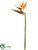 Large Bird of Paradise Spray - Natural - Pack of 6
