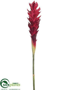 Ginger Spray - Beauty - Pack of 12