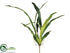 Silk Plants Direct Oncidium Orchid Leaf Plant - Green - Pack of 12