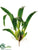 Brassia Leaf Spray - Green - Pack of 6
