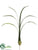 Cymbidium Orchid Leaf Plant - Green - Pack of 12