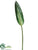 Bird of Paradise Leaf Spray - Green - Pack of 12