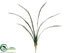 Silk Plants Direct Cymbidium Orchid Leaf Spray - Green - Pack of 12