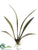 Oncidium Orchid Leaf Spray - Green Rust - Pack of 12