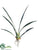 Oncidium Orchid Leaf Spray - Green - Pack of 12