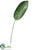 Small Bird of Paradise Leaf Spray - - Pack of 24