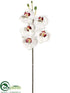 Silk Plants Direct Large Phalaenopsis Orchid Spray - Burgundy Cream - Pack of 6