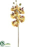Silk Plants Direct Large Phalaenopsis Orchid Spray - Mustard - Pack of 6