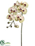 Silk Plants Direct Large Phalaenopsis Orchid Spray - Silver Green - Pack of 6