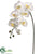 Large Phalaenopsis Orchid Spray - White Yellow - Pack of 6