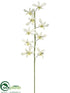 Silk Plants Direct Caesar Orchid Spray - White - Pack of 12