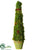 Moss Cone Topiary - Green - Pack of 2