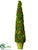 Moss Cone Topiary - Green - Pack of 1