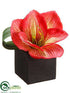 Silk Plants Direct Amaryllis - Coral - Pack of 12