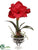 Amaryllis Arrangement - Red - Pack of 6