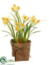 Silk Plants Direct Daffodil - Yellow Two Tone - Pack of 6
