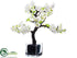 Silk Plants Direct Cherry Blossom Bonsai - White - Pack of 0