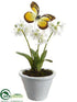 Silk Plants Direct Dancing Primrose - White - Pack of 6