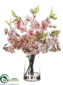 Cherry Blossom - Pink Two Tone - Pack of 4
