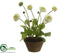 Silk Plants Direct Callistephus - Cream Green - Pack of 4