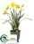 Daffodil - Yellow - Pack of 4