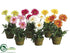 Silk Plants Direct Gerbera Daisy - Assorted - Pack of 12