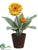 Gerbera Daisy - Yellow - Pack of 3